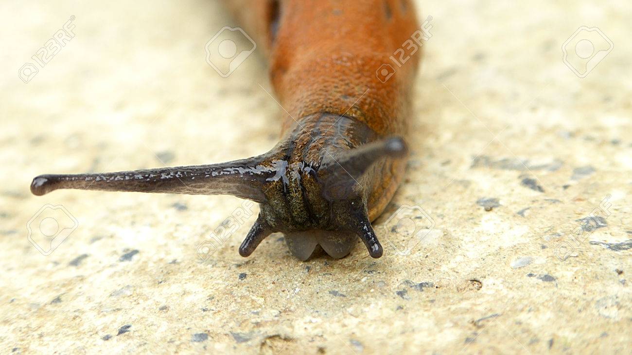 スラグ コンクリート の写真素材 画像素材 Image