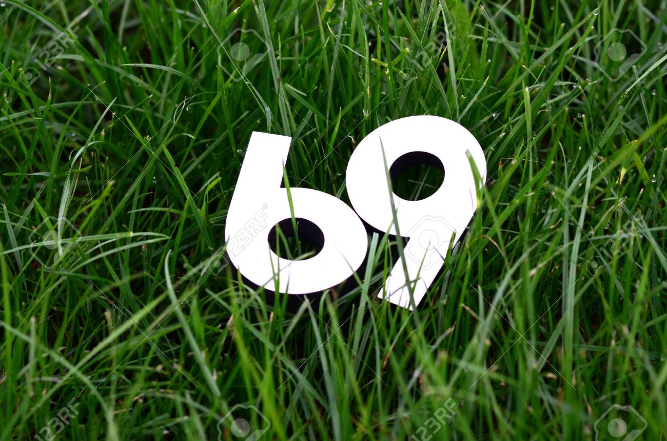 Bild von einer zahl 69 auf einem grünen gras hintergrund - 43553015.