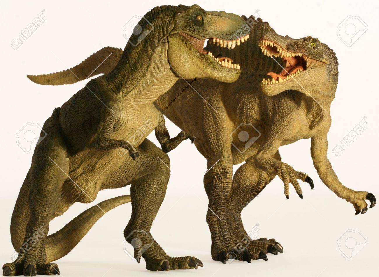スピノサウルスだった大 Theropod 恐竜から白亜紀期間ポスター印刷 16 12 飾り額 看板 Aliexpress スピノサウルス恐竜 白い背景 ポスター Ciudaddelmaizslp Gob Mx