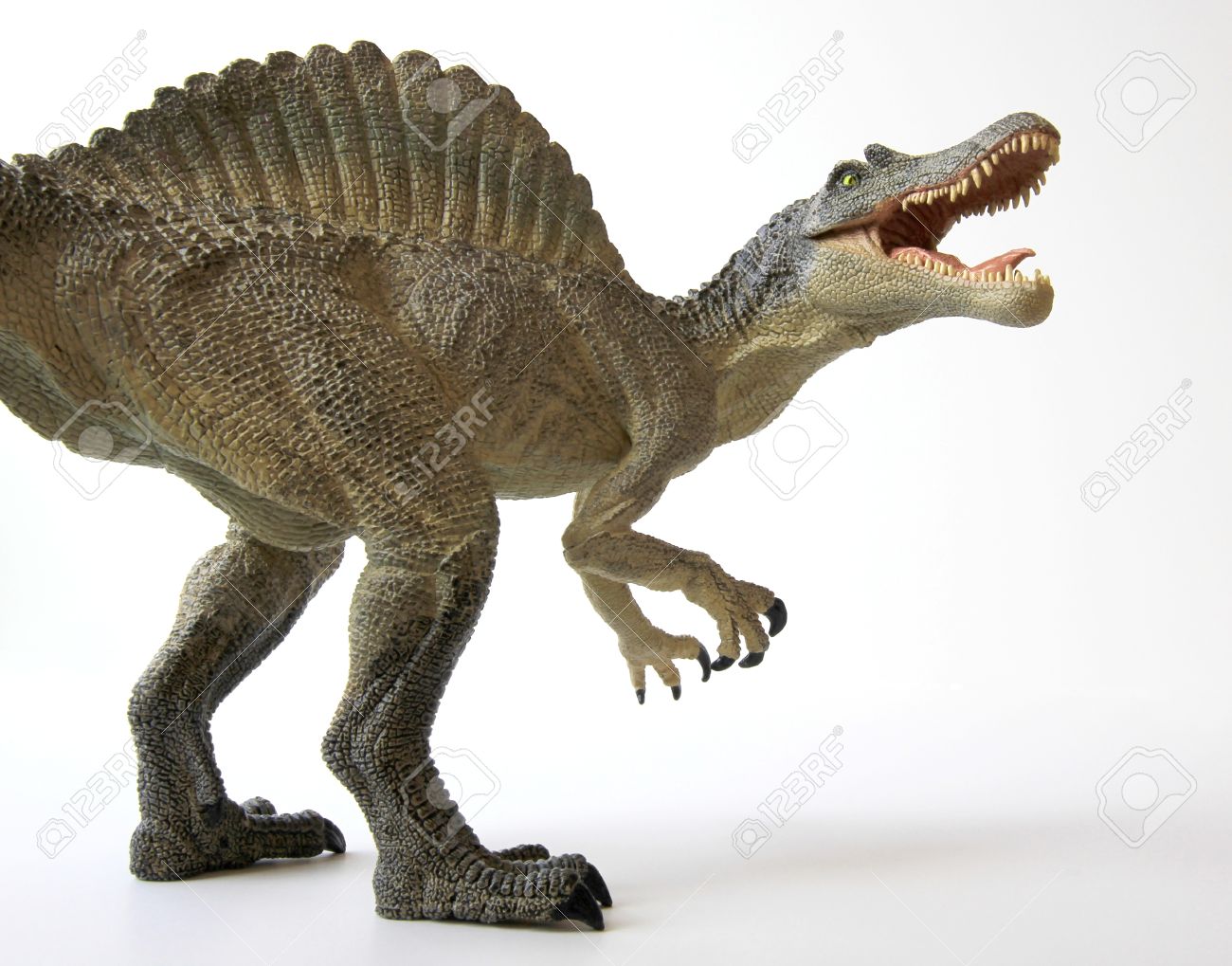 400+ Gambar Dinosaurus Spinosaurus HD Terbaru 400+ Gambar Dinosaurus Spinosaurus HD Terbaru
