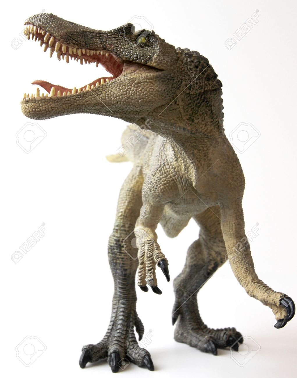A Spinosaurus Dinosaur with Gaping Jaws Full of Sharp Teeth - 9010374 A Spinosaurus Dinosaur with Gaping Jaws Full of Sharp Teeth - 9010374