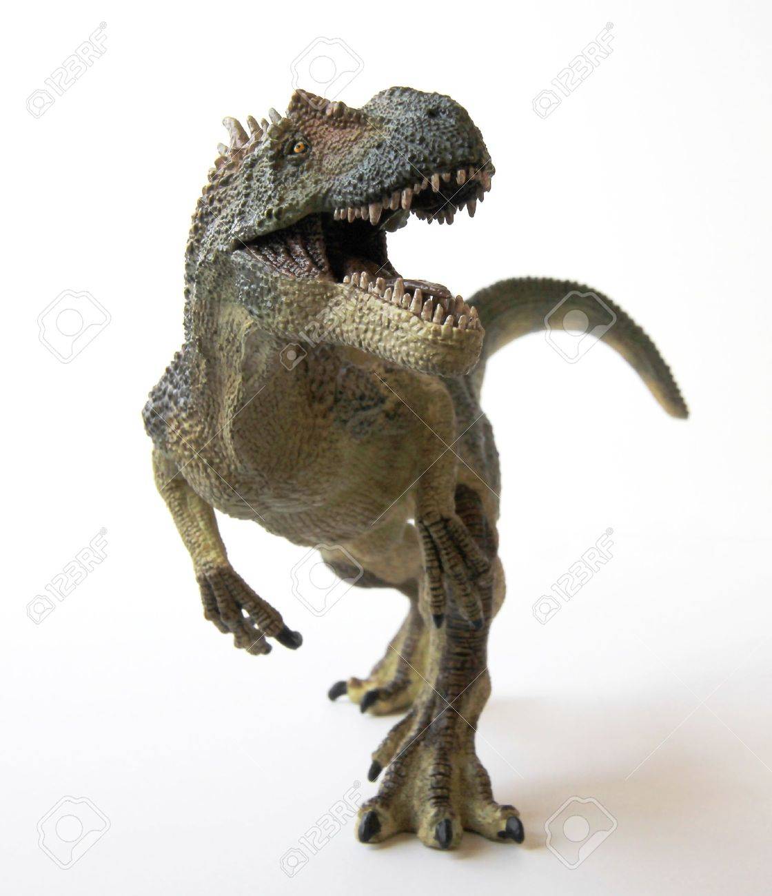 An Allosaurus Dinosaur with Gaping Jaws Full of Sharp Teeth - 9010379 An Allosaurus Dinosaur with Gaping Jaws Full of Sharp Teeth - 9010379