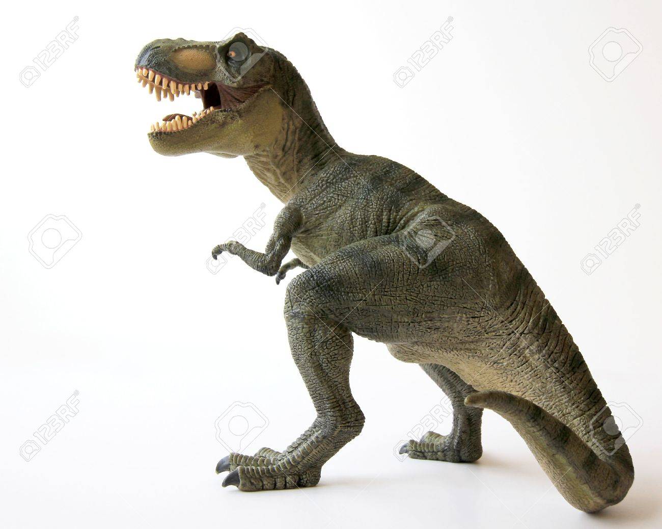 A Tyrannosaurus Rex Dinosaur with Gaping Jaws Full of Sharp Teeth - 9010381 A Tyrannosaurus Rex Dinosaur with Gaping Jaws Full of Sharp Teeth - 9010381