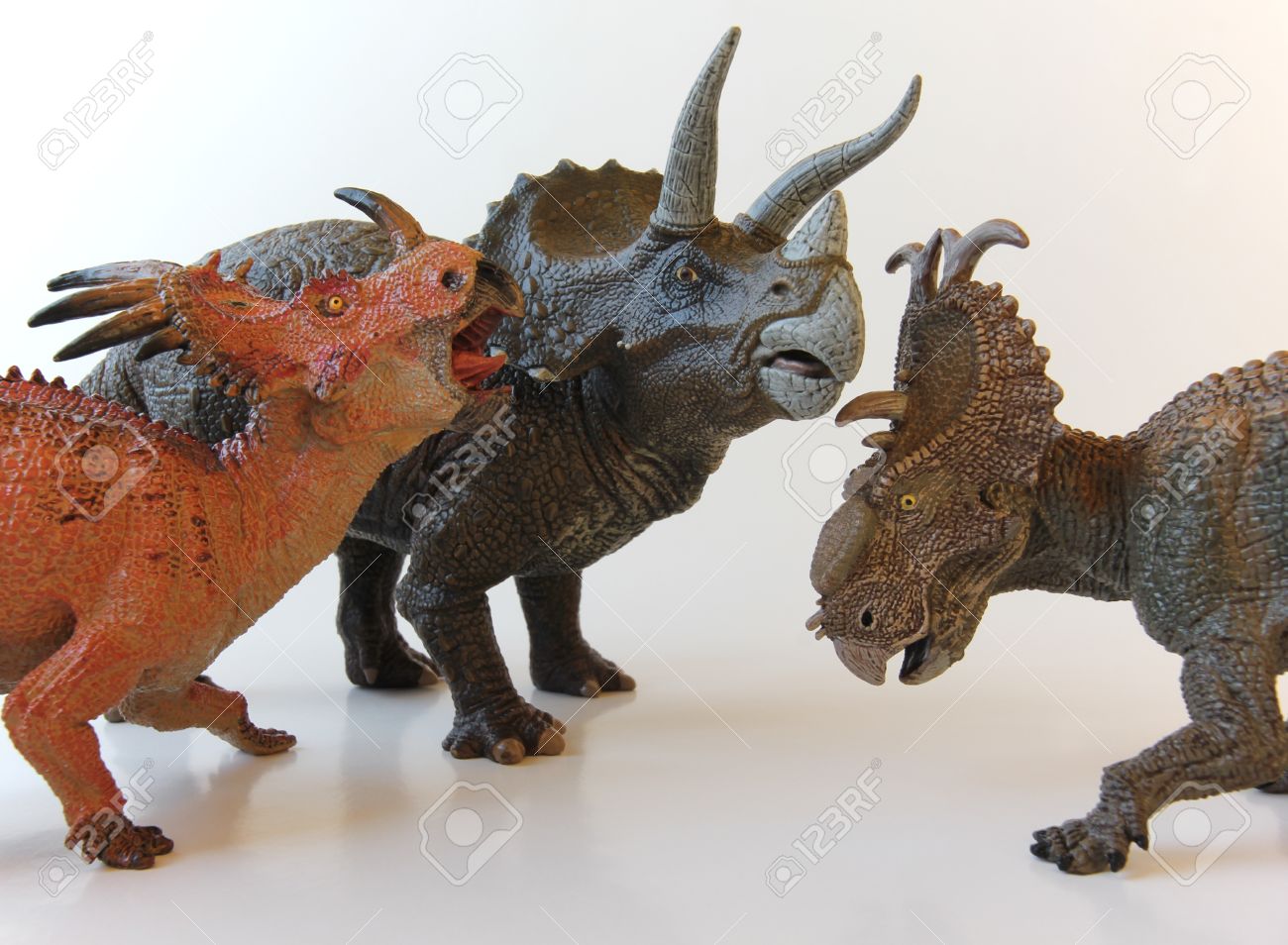 pachyrhinosaurus toy
