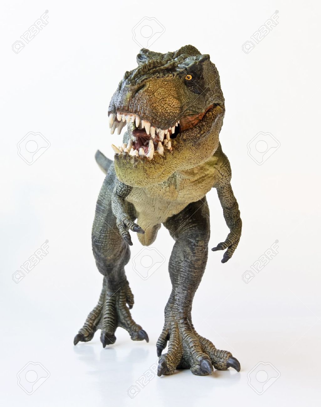 A Tyrannosaurus Rex Hunts Against a White Background - 17588897 A Tyrannosaurus Rex Hunts Against a White Background - 17588897