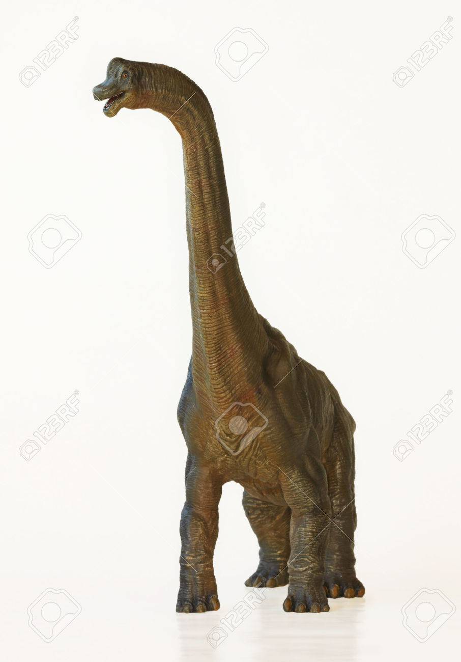 A Towering Brachiosaurus Dinosaur Whose Name Means Arm Lizard - 25338046 A Towering Brachiosaurus Dinosaur Whose Name Means Arm Lizard - 25338046