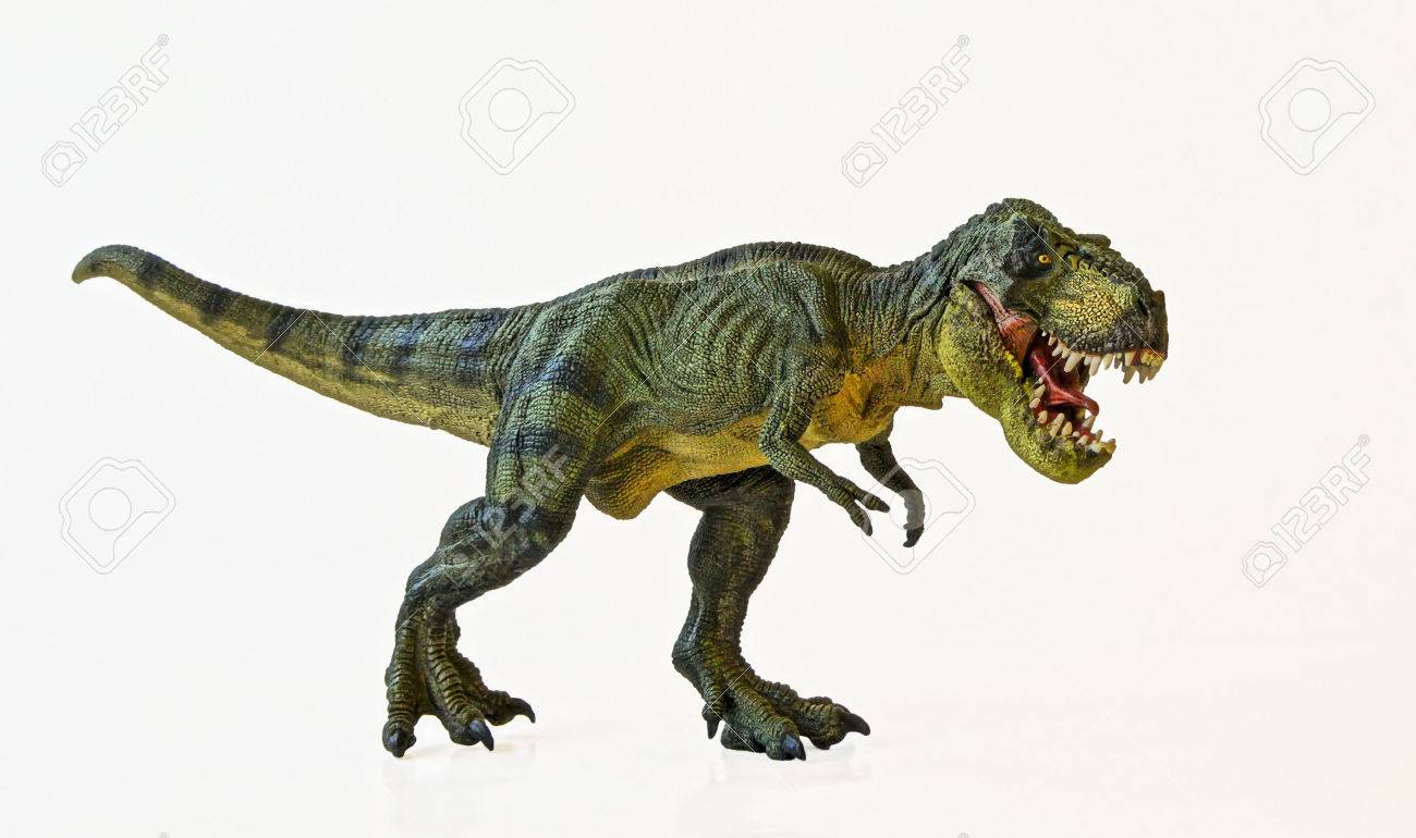 A Tyrannosaurus Rex Hunts Against a White Background - 29842313 A Tyrannosaurus Rex Hunts Against a White Background - 29842313