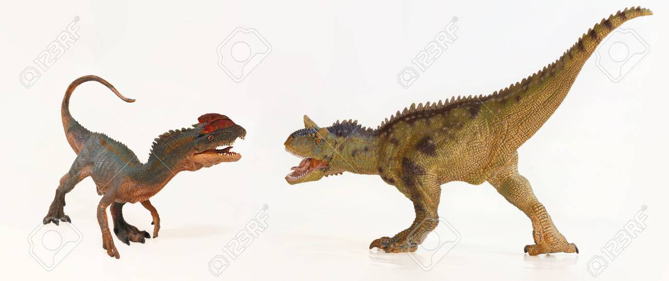 a dilophosaurus and a carnotaurus dinosaur face off in battle stock carnotaurus size