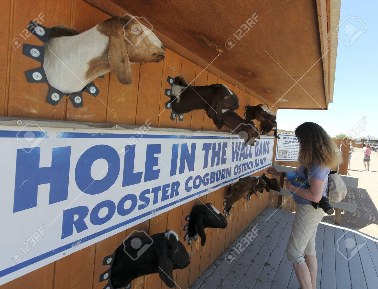 Rooster cogburn ostrich ranch coupon