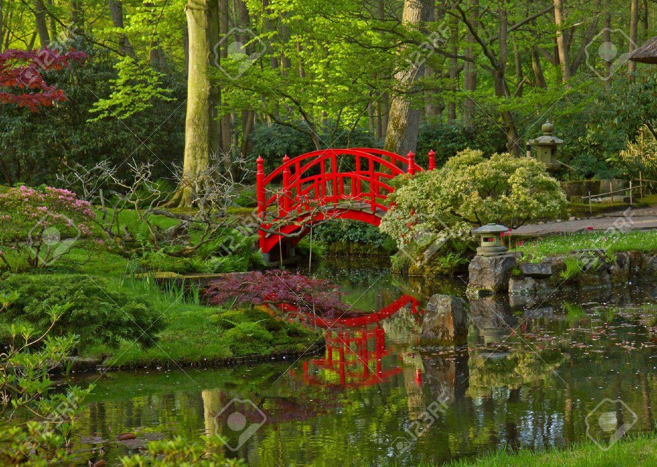 赤い橋 デンハーグ オランダと日本庭園 の写真素材 画像素材 Image
