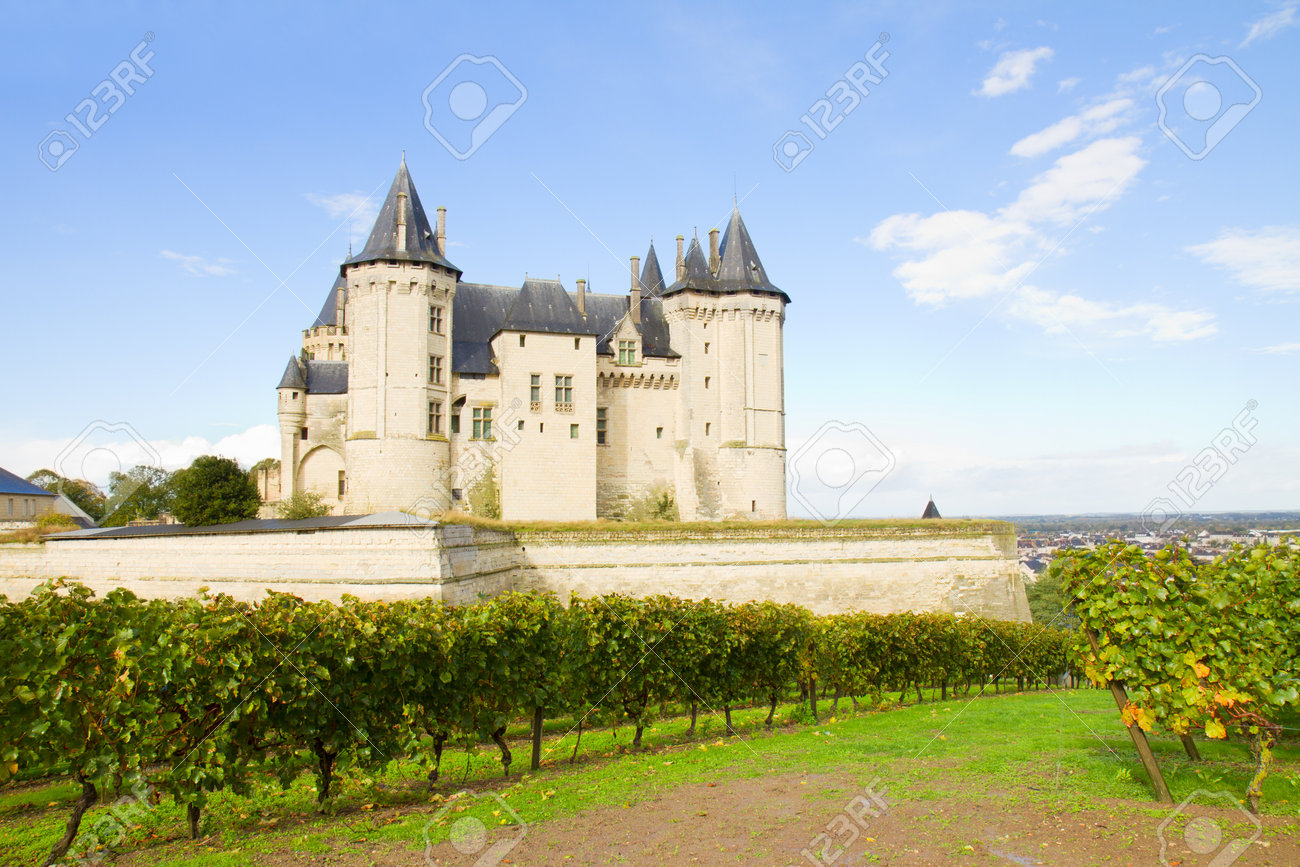 Saumur Castillo Y Viñedos En El Valle Del Loira Francia Fotos Retratos Imágenes Y Fotografía De Archivo Libres De Derecho Image 16507530