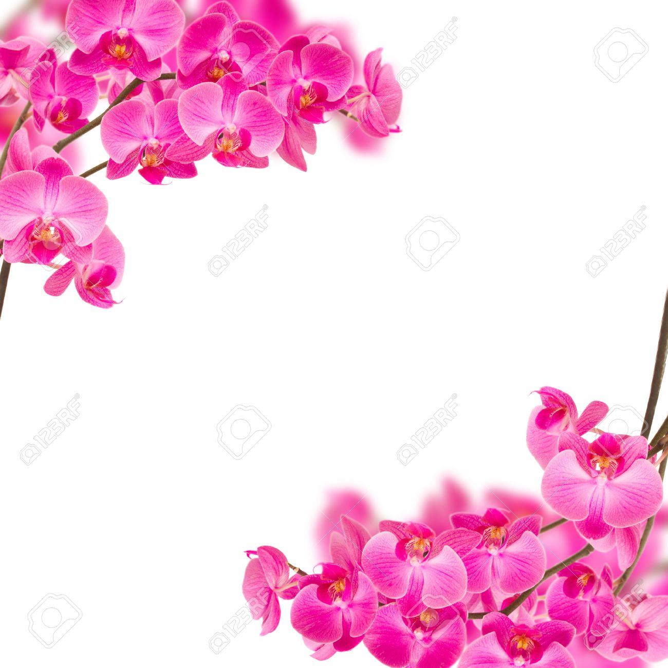 Türtapete türposter türfolie d'ornement Fleurs Orchidée Rouge Fleurs Vigne no 40 Türtapete türposter türfolie d'ornement Fleurs Orchidée Rouge Fleurs Vigne no 40