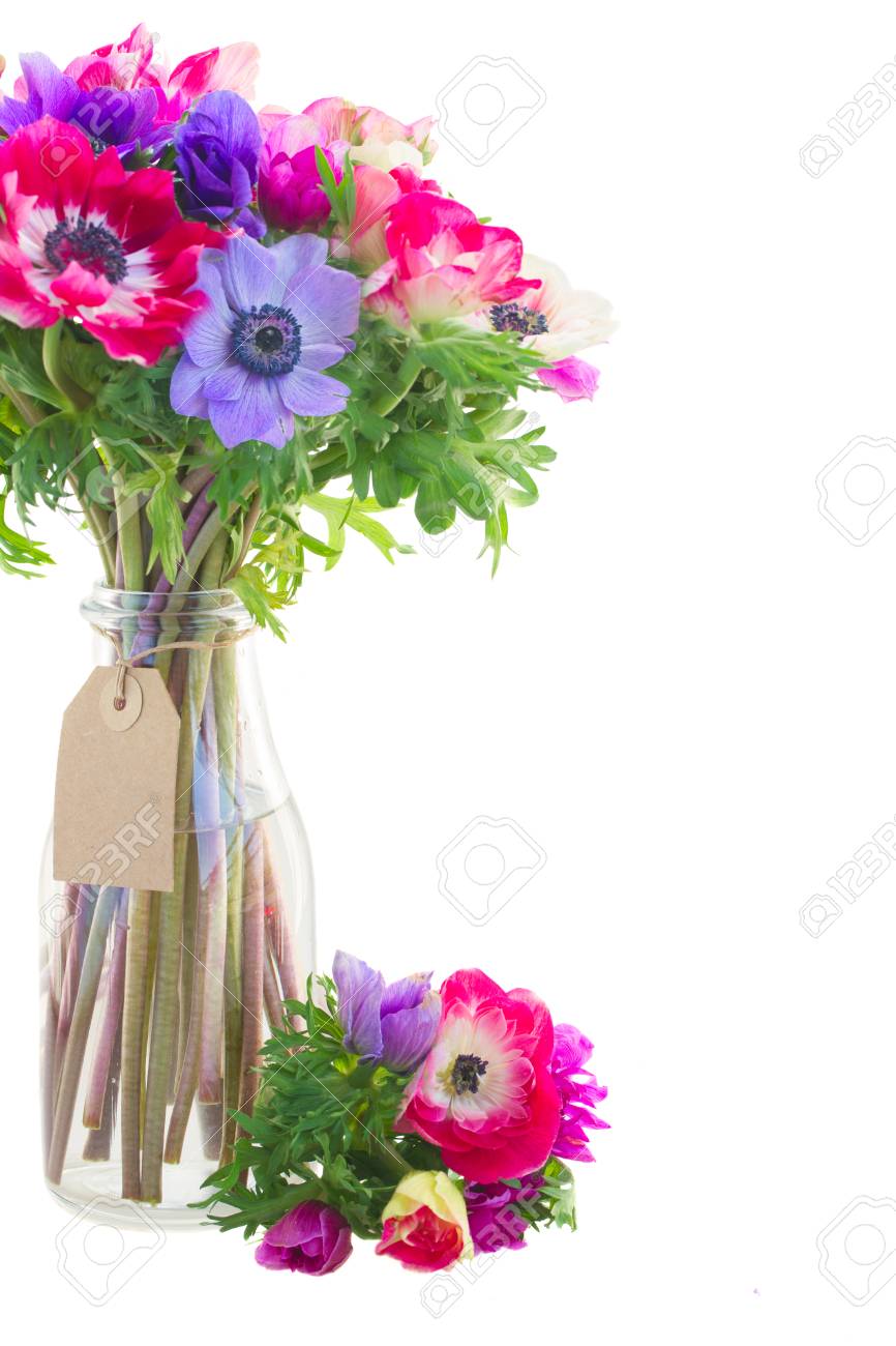 アネモネの花の花束 の写真素材 画像素材 Image アネモネの花の花束 の写真素材 画像素材 Image