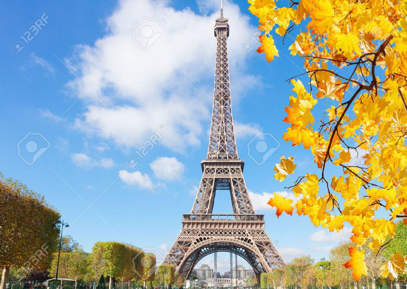 Eiffel Tower France Stock Photo Picture And Royalty Free Image Image
