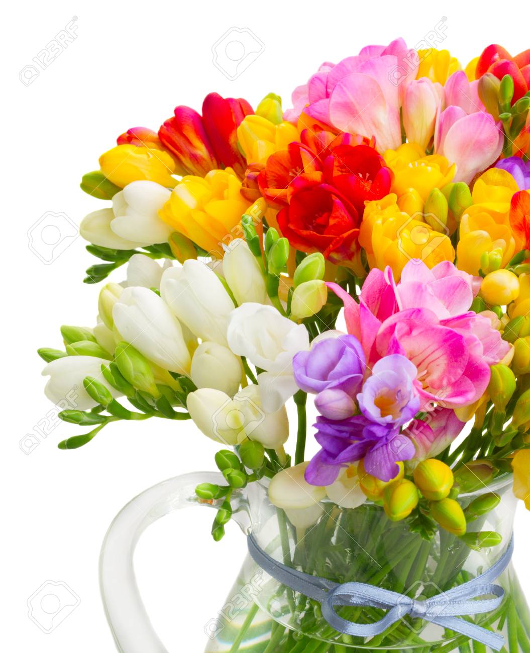 Bouquet De Fleurs Multicolores De Freesia Frais Close Up Isolé Sur Fond Blanc