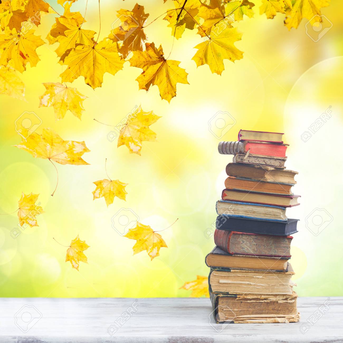 Autumn Book Stack