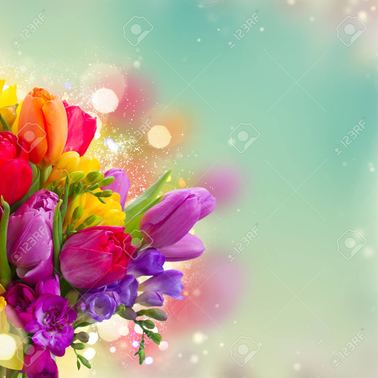 Buy Spring Bright flowers pictures trends To acquire Spring Bright flowers pictures trends