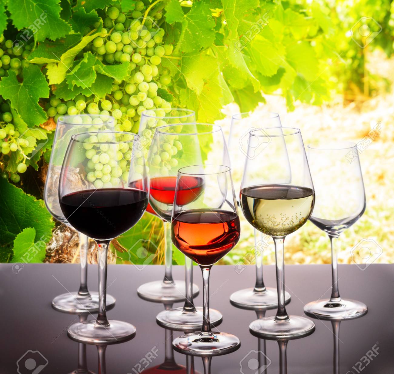 Wine Tasting In Wine Yard Set Of Glasses With Red White And