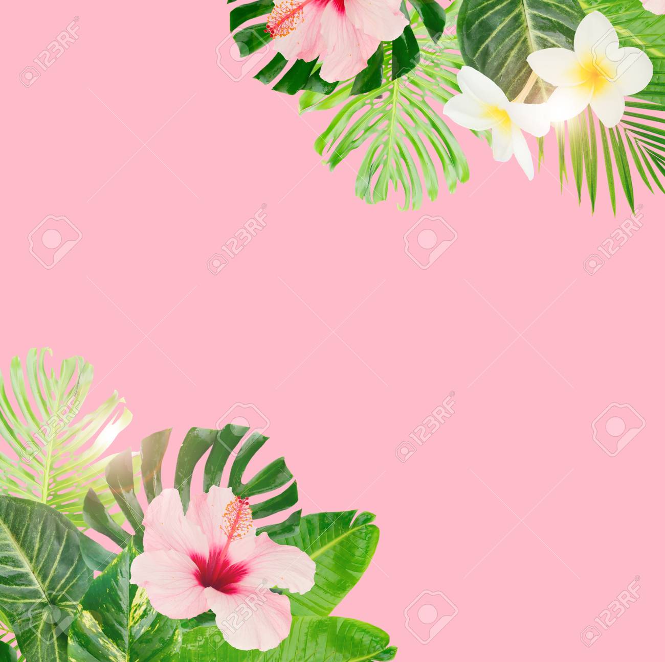 pix Pink Hawaiian Flowers Background tropical green leaves and flowers frame on pink background with