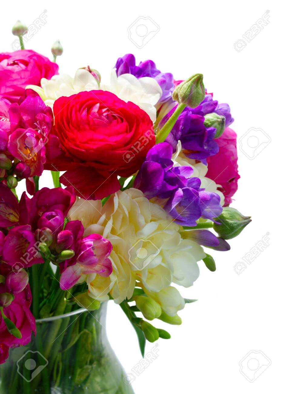 Bouquet of freeseia and ranunculus fresh flowers close up isolated on white background - 122631705 Bouquet of freeseia and ranunculus fresh flowers close up isolated on white background - 122631705