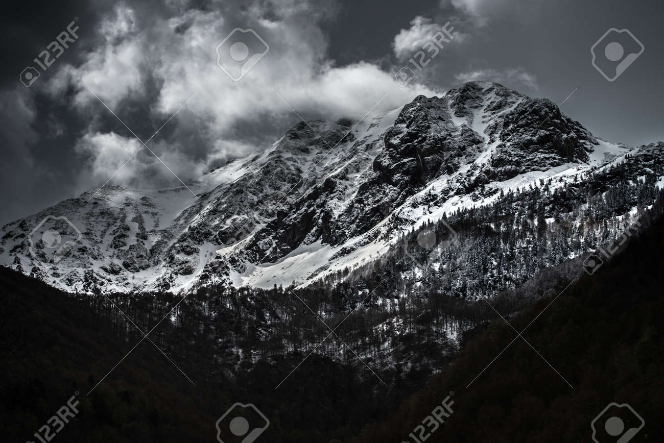 etiam-dictum-ipsum-a-felis