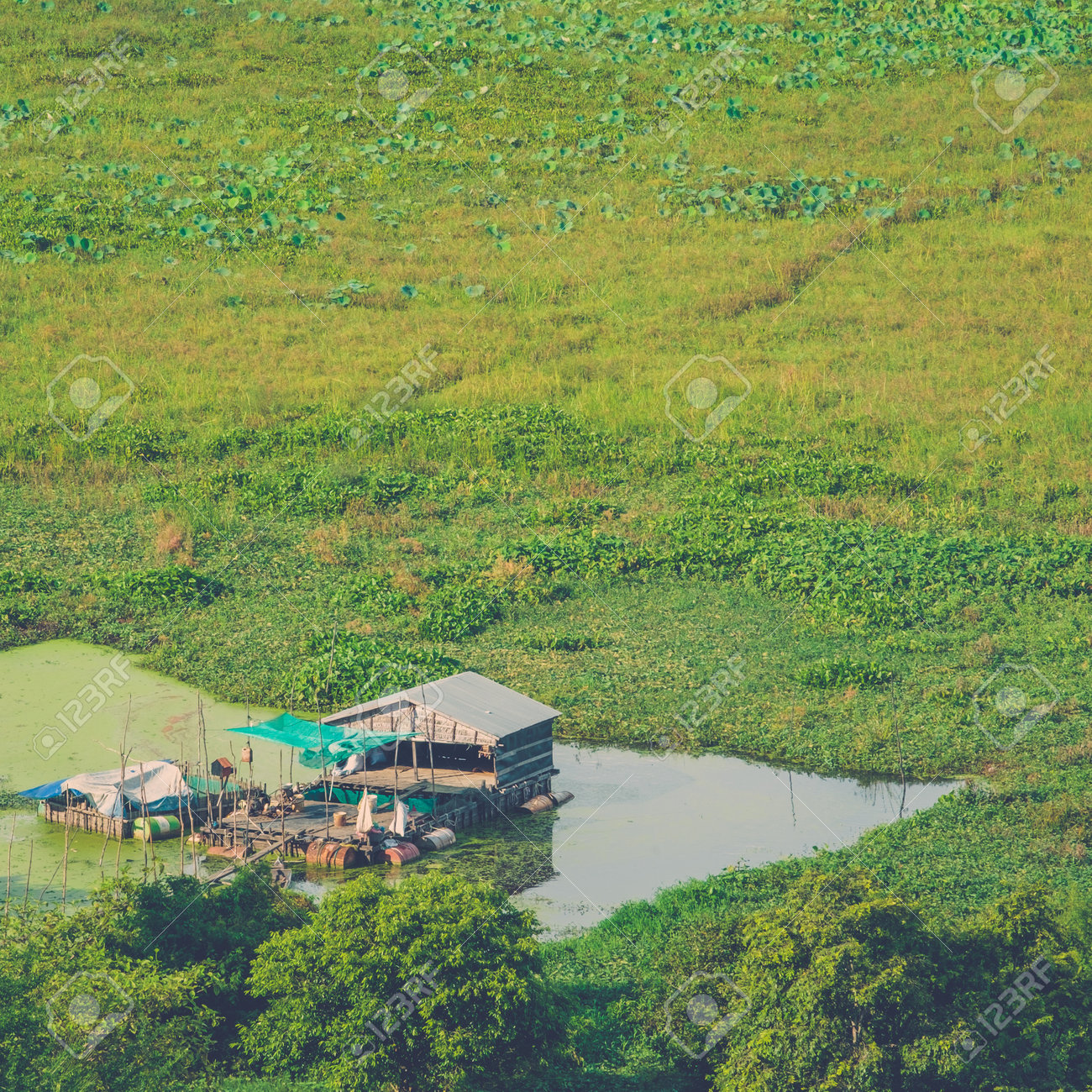 etiam-dictum-ipsum-a-felis