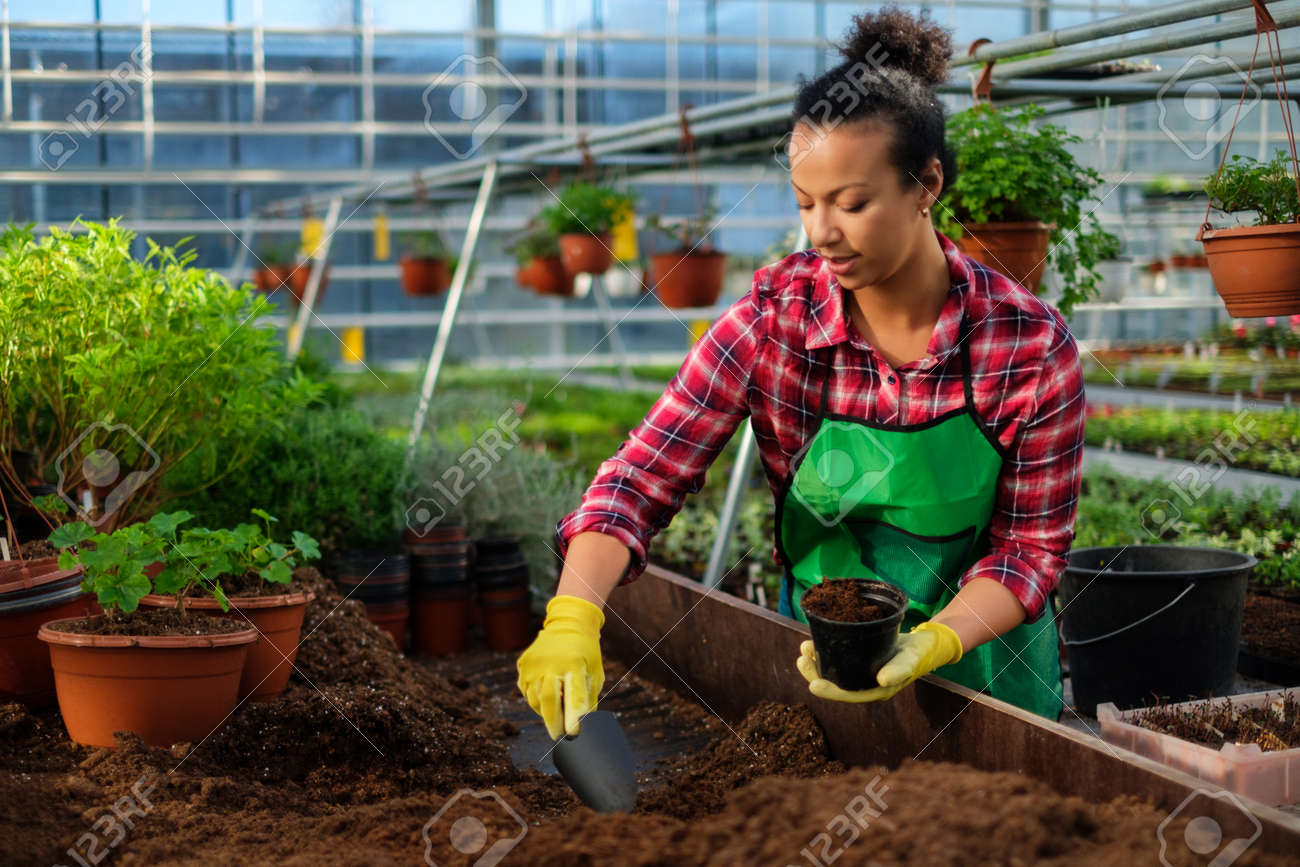 3 qualities to base on when marrying a woman, to Become Successful In Life 3 Black Woman Working In A Botanical Garden Stock Photo, Picture And ...