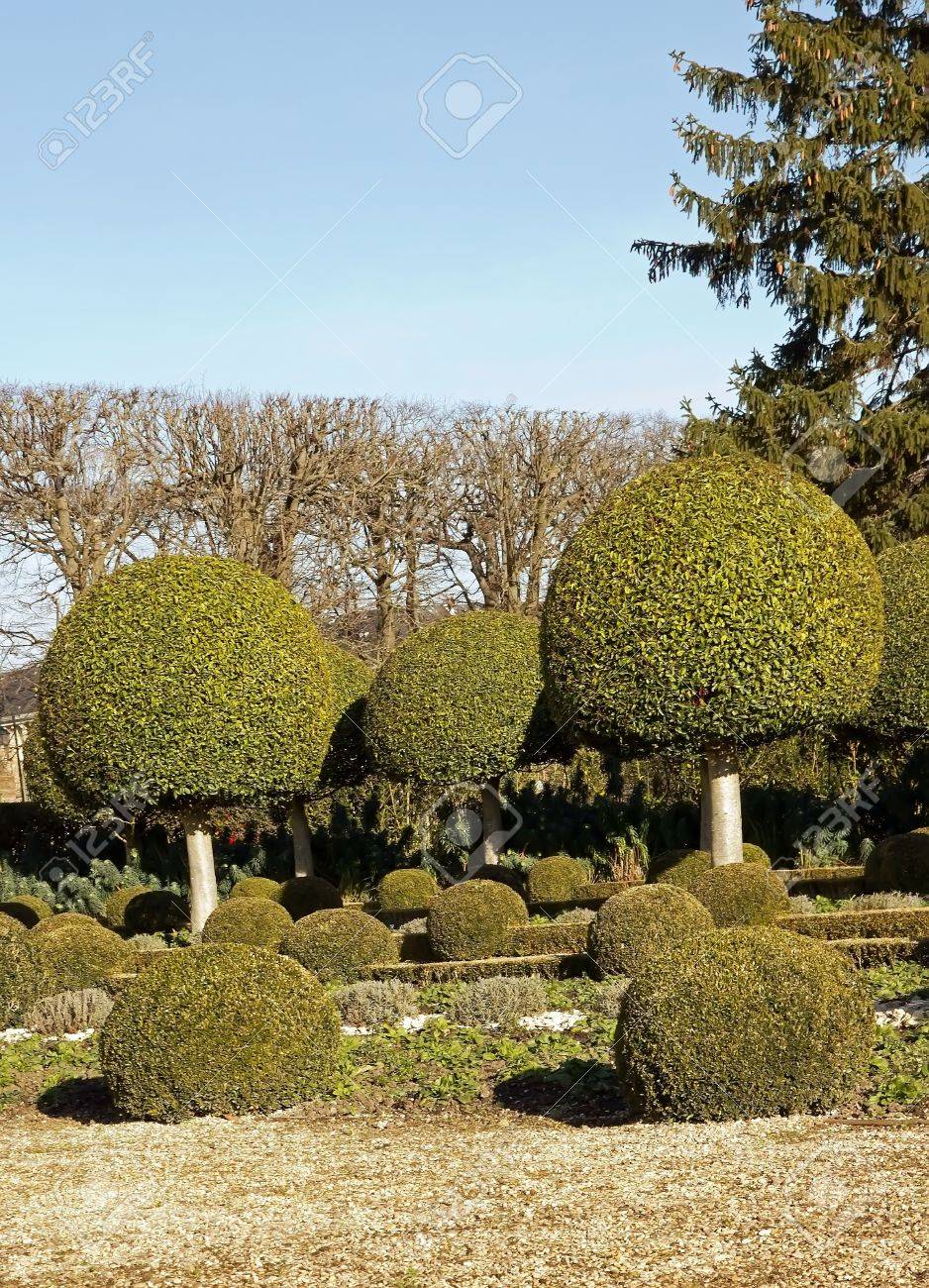 Gasse Straucher Aus Buchsbaum Franzosisch Garten In Der Nahe Von Paris Frankreich Lizenzfreie Fotos Bilder Und Stock Fotografie Image 12763927