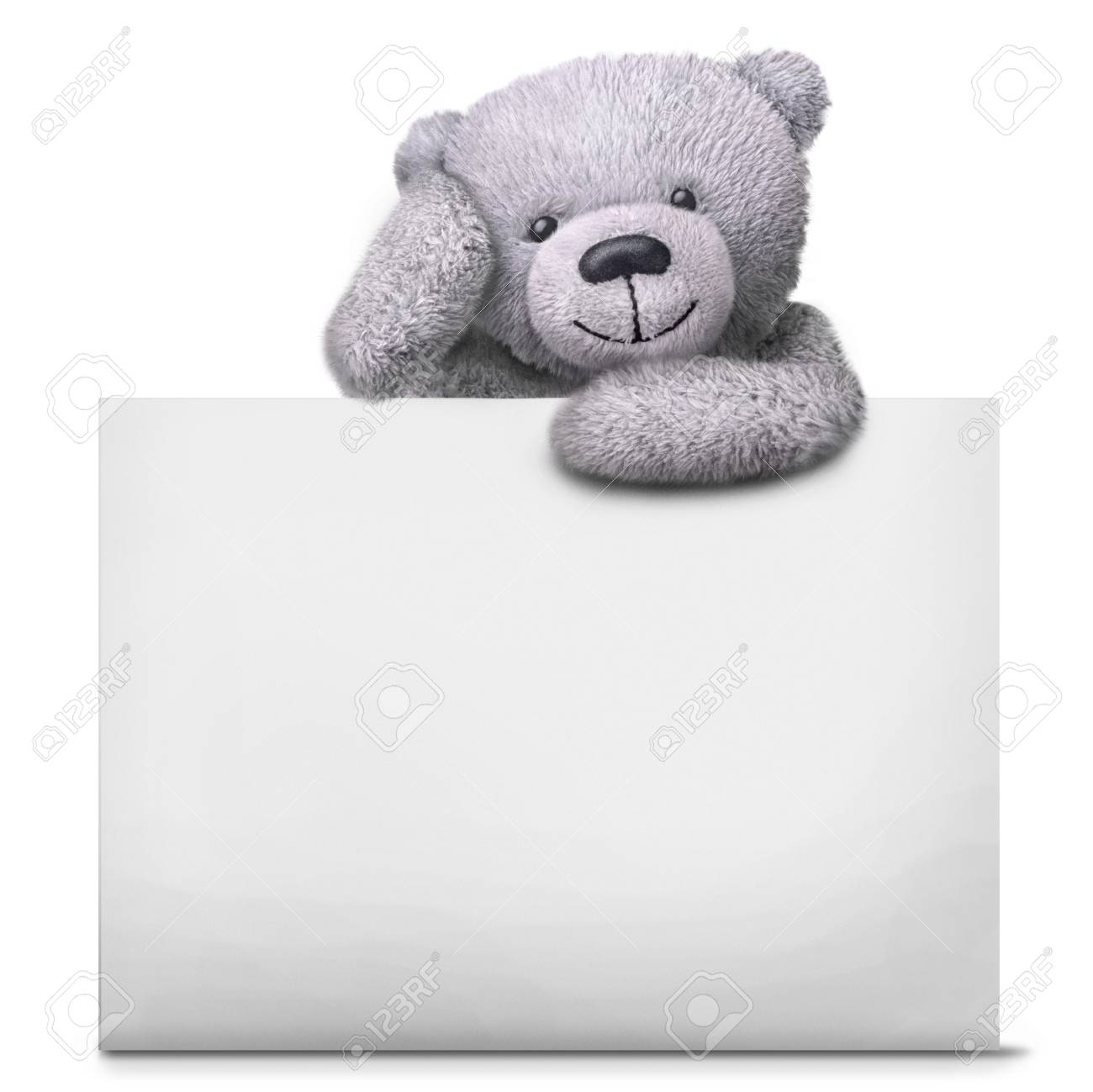 teddy paper