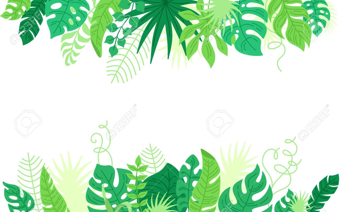 Empty Card From Tropical Leaves, Cartoon Style. Trendy Flat Hawaiian  Abstract Template Banner. Tropic Rainforest Foliage Border With Monstera,  Banana Leaves. Frame For Text. Vector Illustration Royalty Free SVG,  Cliparts, Vectors, and, image size:1300x812