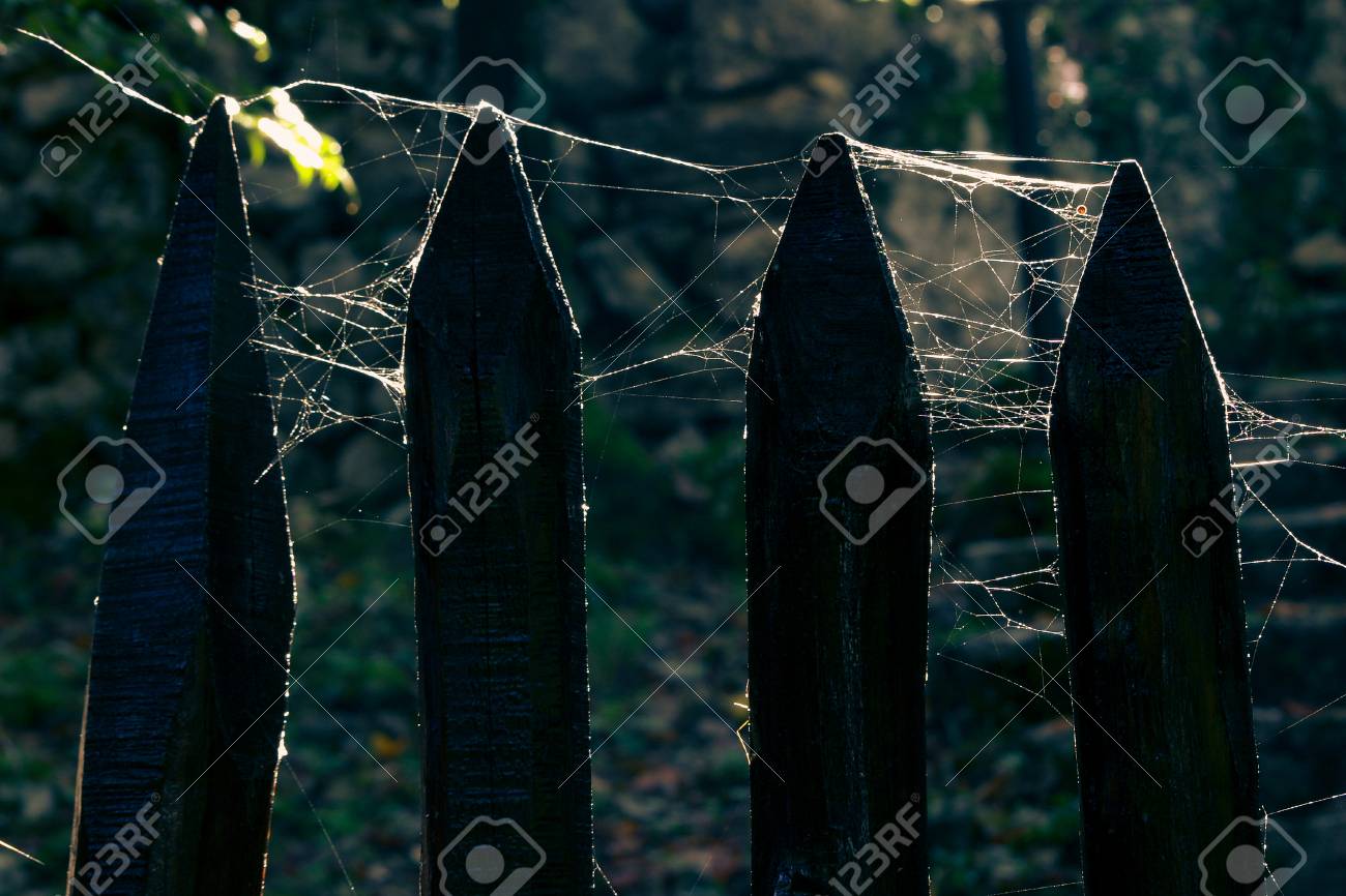 creepy wooden fence stock