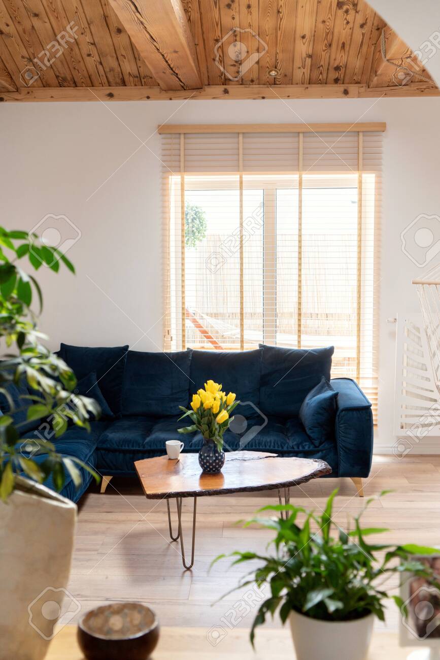 Stylish Boho Living Room Interior With Design Navy Blue Sofa Stock Photo Picture And Royalty Free Image Image 147551611