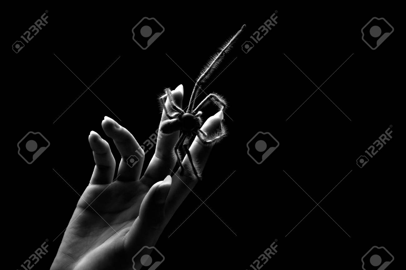 etiam-dictum-ipsum-a-felis