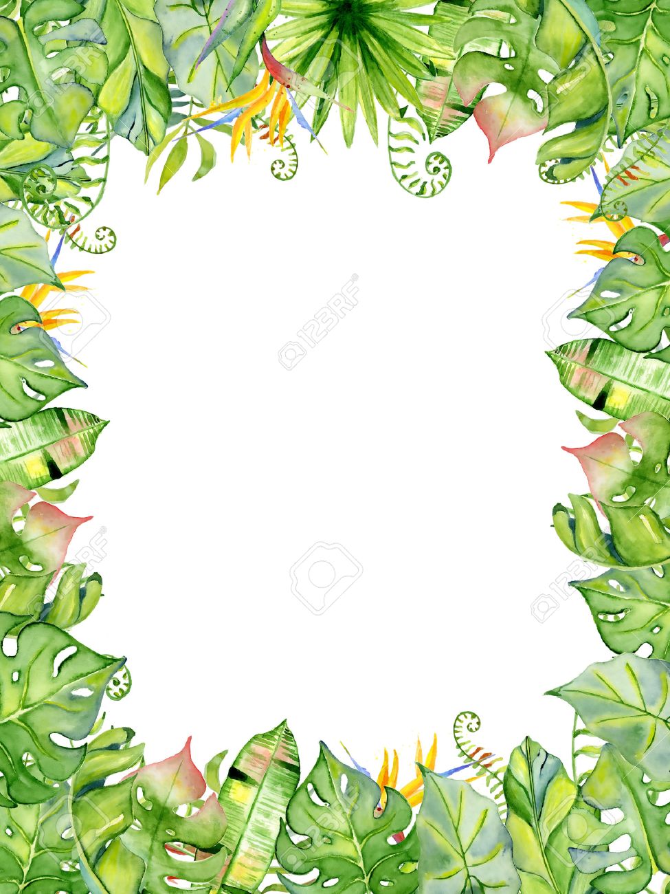 watercolor tropical leaves frame hand drawn plants arrangement
