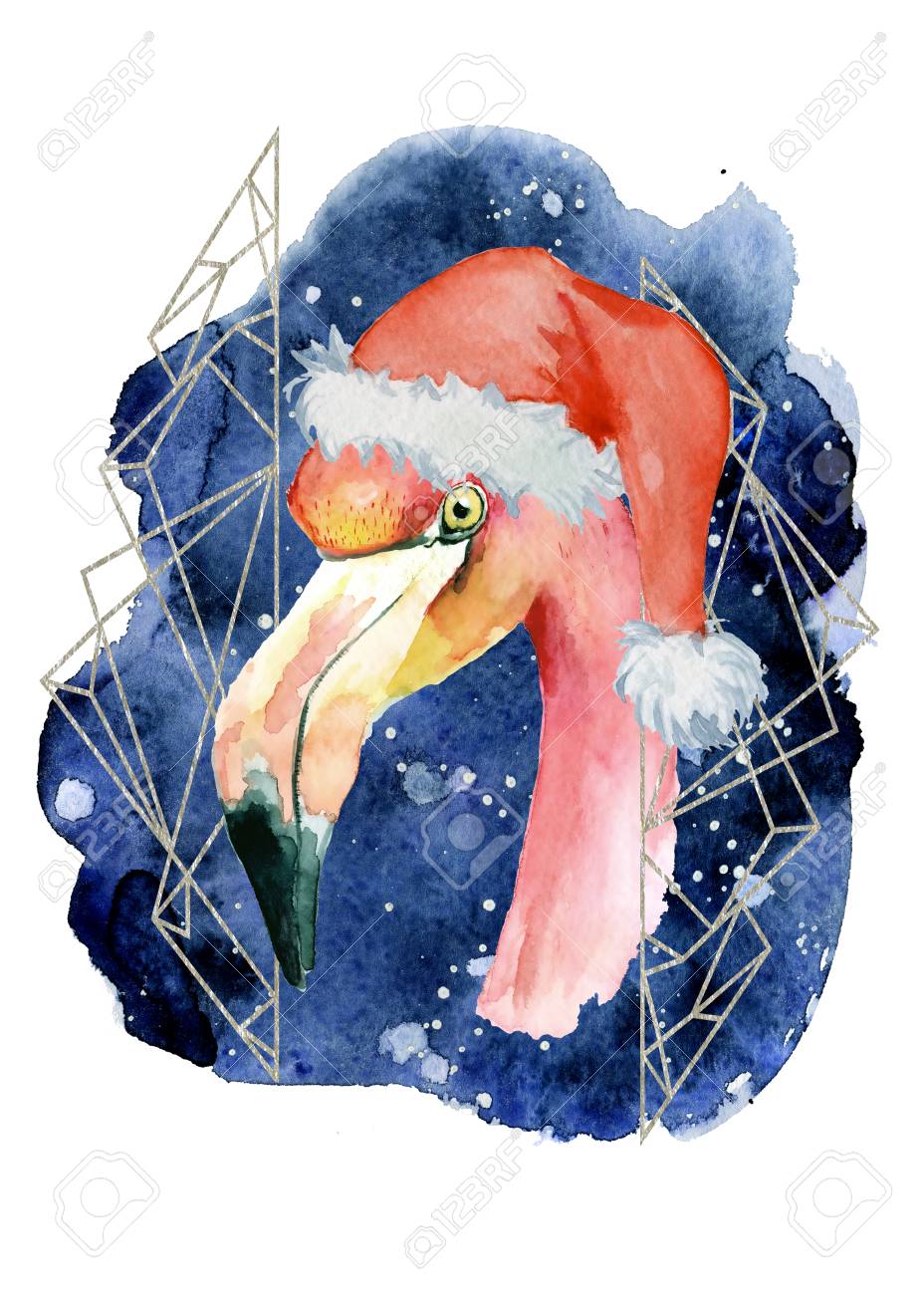 サンタ帽子水彩手描きメリー クリスマス イラスト夜空の背景年賀状のピンクのフラミンゴ ポスター の写真素材 画像素材 Image サンタ帽子水彩手描きメリー クリスマス イラスト夜空の背景年賀状のピンクのフラミンゴ ポスター の写真素材 画像素材 Image