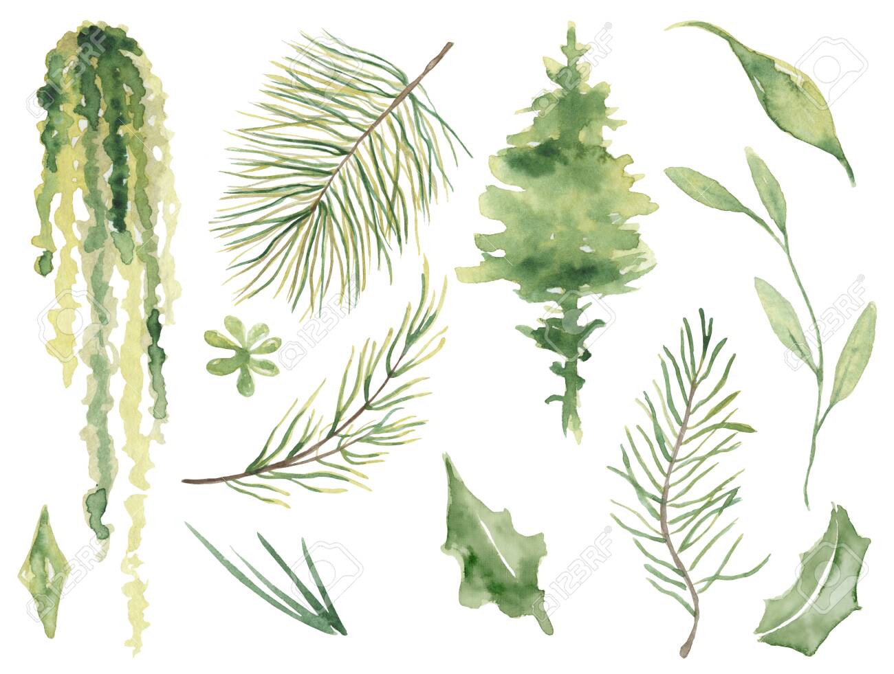 Watercolor pine brunches hand drawn christmas decor illustration - 154865664 Watercolor pine brunches hand drawn christmas decor illustration - 154865664