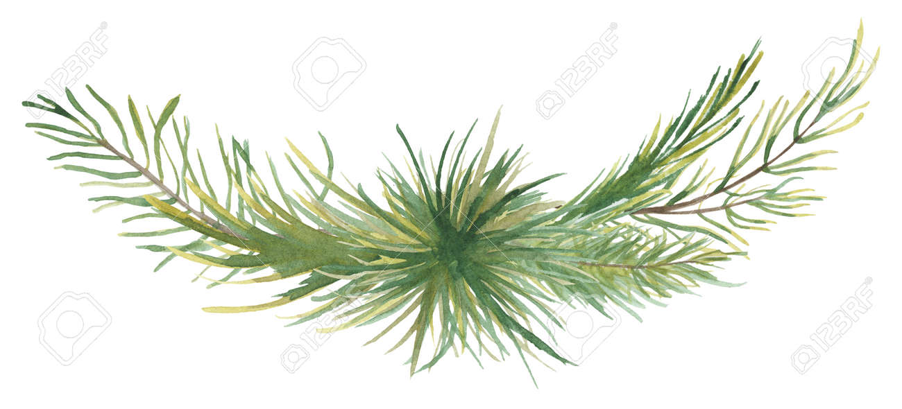 Watercolor Christmas floral bouquet with pine tree branches decor illustration - 154972803 Watercolor Christmas floral bouquet with pine tree branches decor illustration - 154972803