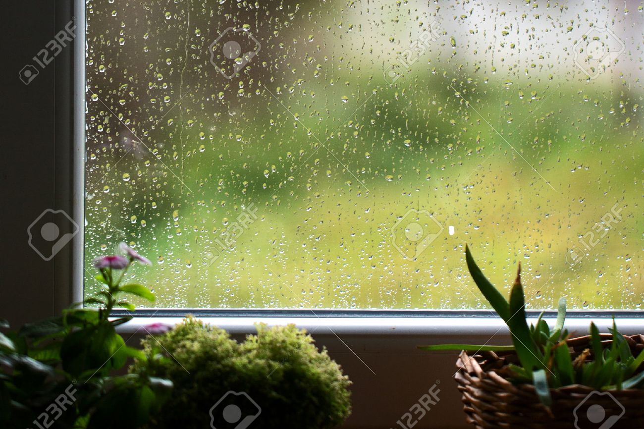 窓の外は雨します の写真素材 画像素材 Image