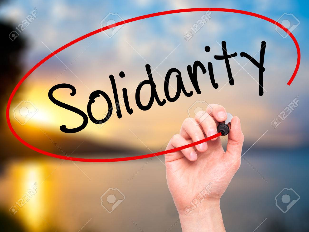 Immagini Stock Man Mano Che Scrive Solidarieta Con Pennarello Nero Su Schermo Visivo Isolato Sulla Natura Affari Tecnologia Concetto Di Internet Foto D Archivio Image