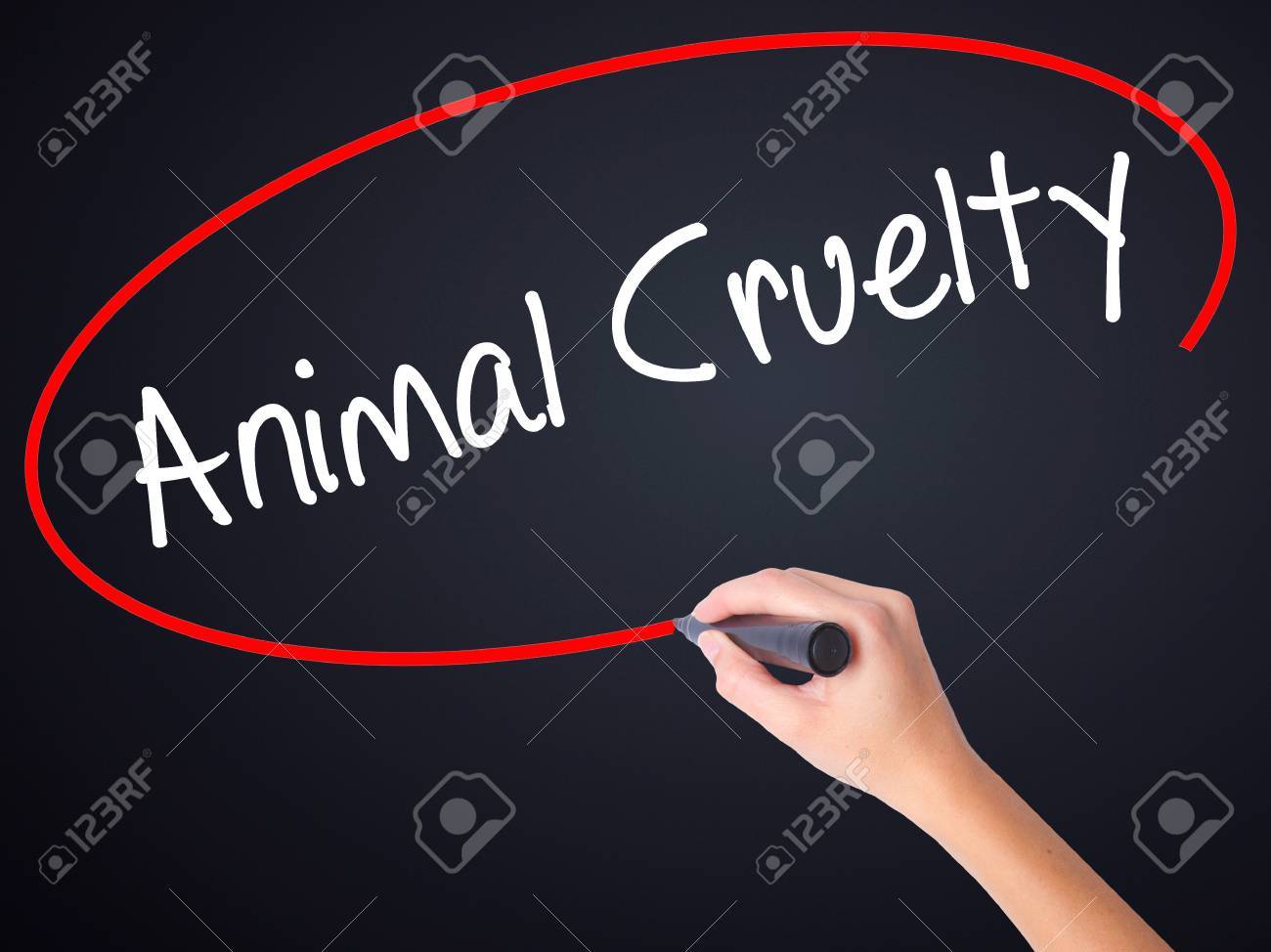 Woman Hand Writing Animal Cruelty On Blank Transparent Board Stock Stock Photo Woman Hand Writing Animal Cruelty On Blank Transparent Board With A Marker Isolated Over Black Background Stock Photo