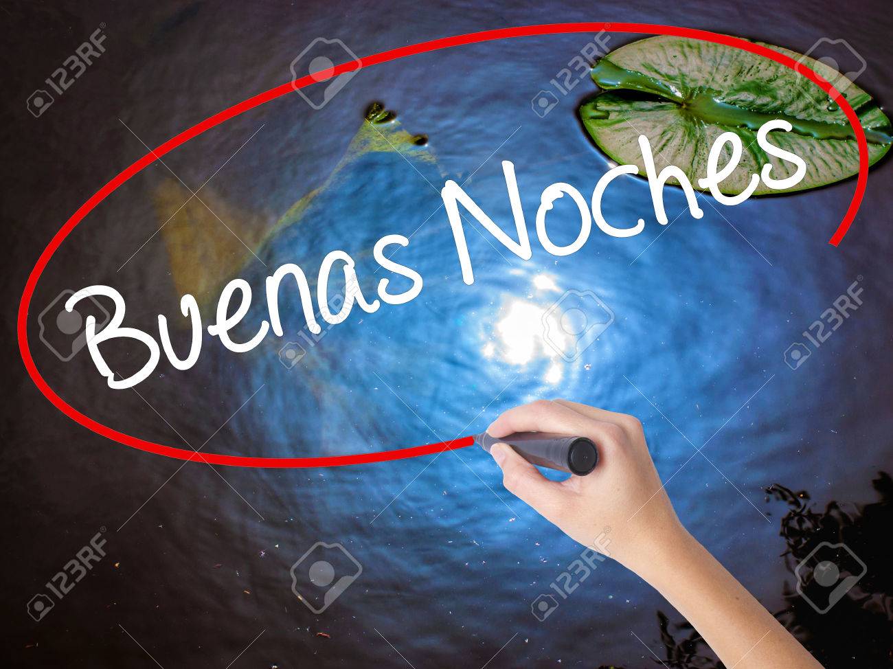Woman Hand Writing Buenas Noches (Good Night In Spanish)with Marker Over  Transparent Board. Isolated On Nature. Business Concept. Stock Photo Stock  Photo, Picture and Royalty Free Image. Image 67356782., image size:1300x974