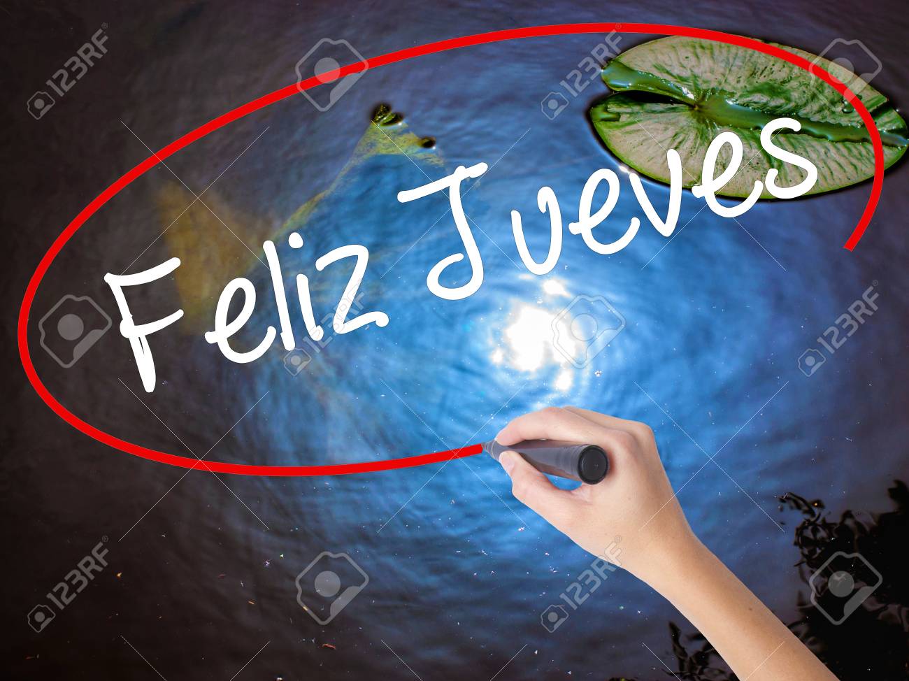 Woman Hand Writing Miercoles (Wednesday In Spanish) With Black Marker On  Visual Screen. Isolated On Nature. Business Concept. Stock Photo Stock  Photo, Picture and Royalty Free Image. Image 70571974.