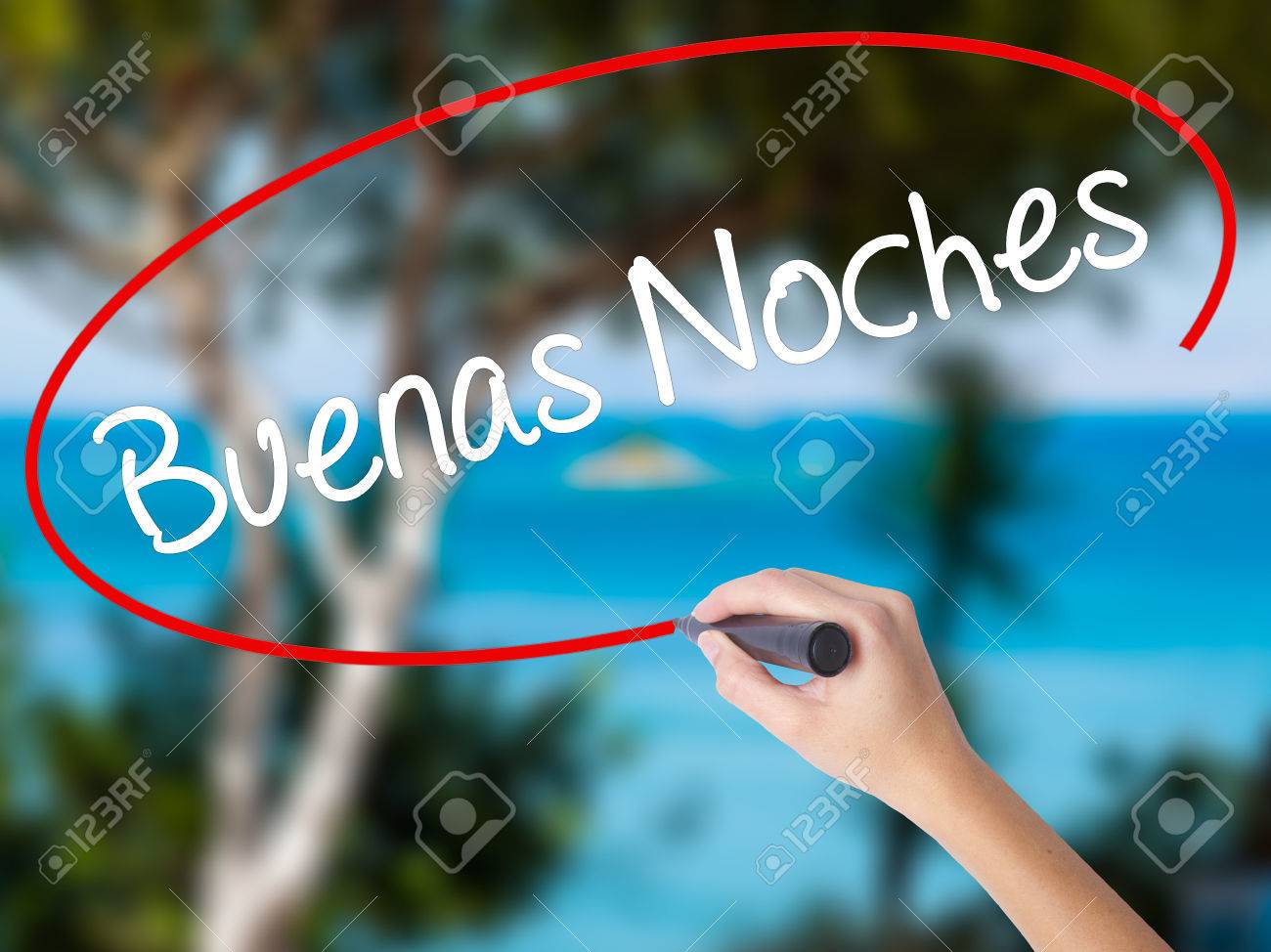 Woman Hand Writing Buenas Noches (Good Night In Spanish)with Black Marker  On Visual Screen. Isolated On Nature. Business Concept. Stock Photo Stock  Photo, Picture and Royalty Free Image. Image 71128660., image size:1300x974