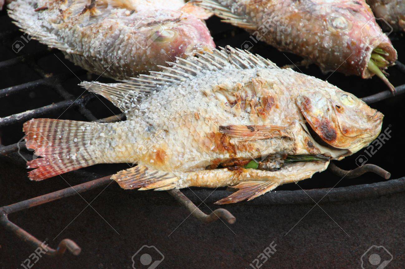 グリル焼きの魚焼き網炭バーベキュー ストーブ の写真素材 画像素材 Image