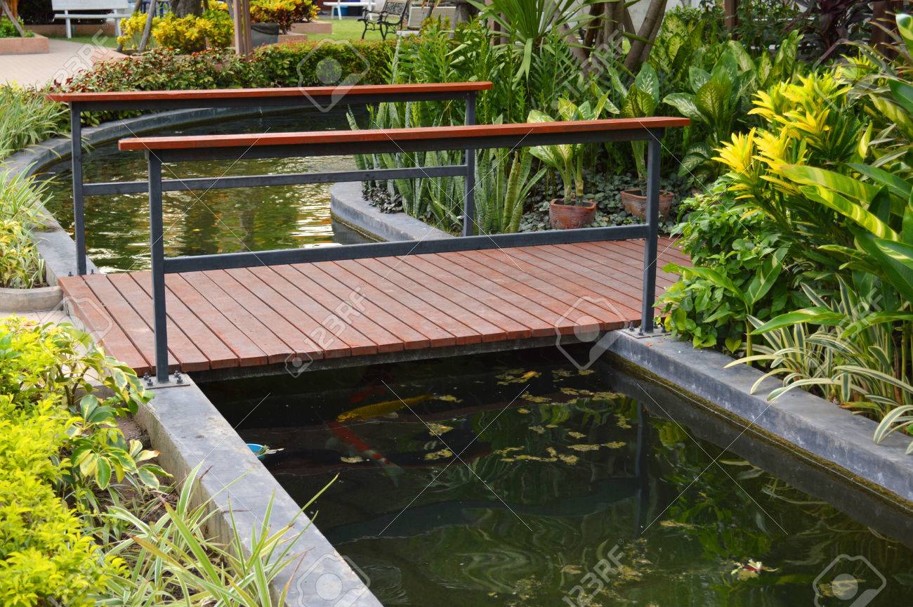 gartenteich im blumentopf, blühenden pflanzen im tropischen gartenteich lizenzfreie fotos, Design ideen