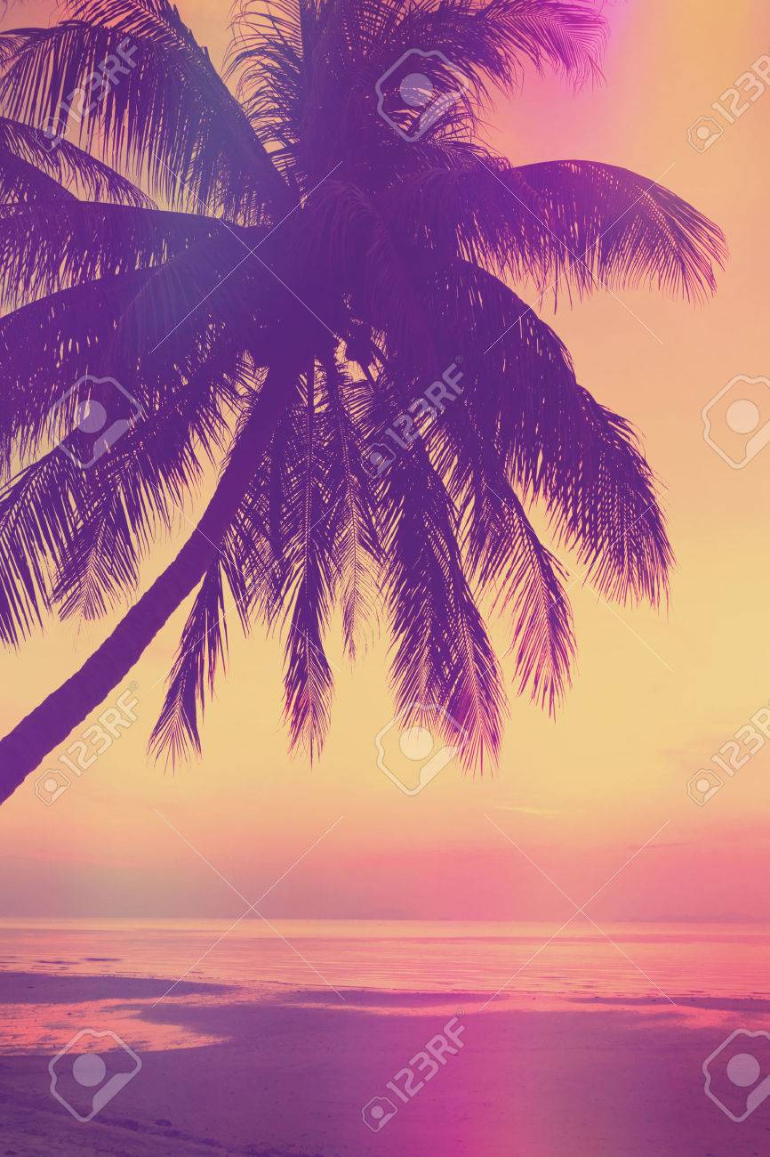 Vintage Stylized Tropical Beach With Palm Tree At Sunset Stock Photo Picture And Royalty Free Image Image Vintage Stylized Tropical Beach With Palm Tree At Sunset Stock Photo Picture And Royalty Free Image Image