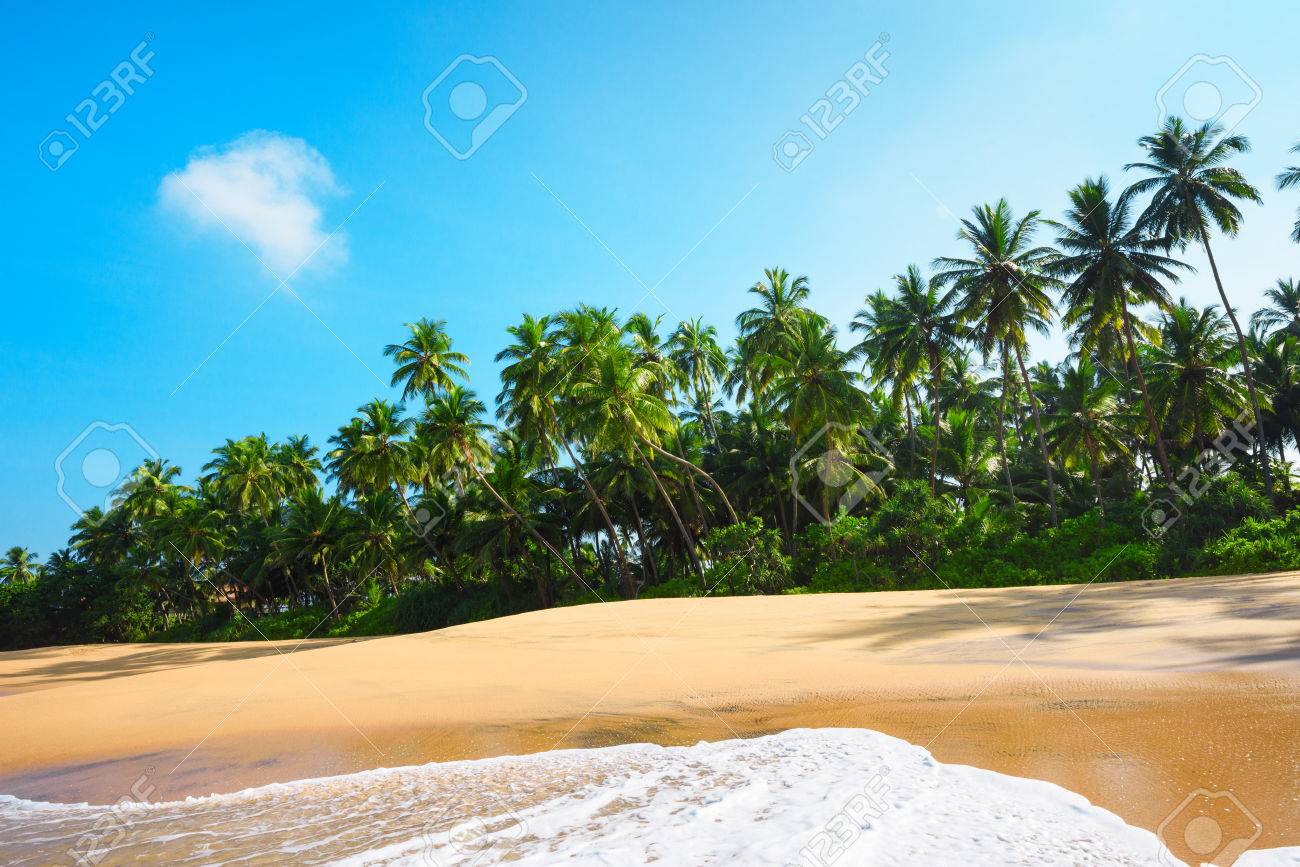 晴れた夏の日にきれいな砂 椰子の木と熱帯の島の美しいビーチ の写真素材 画像素材 Image