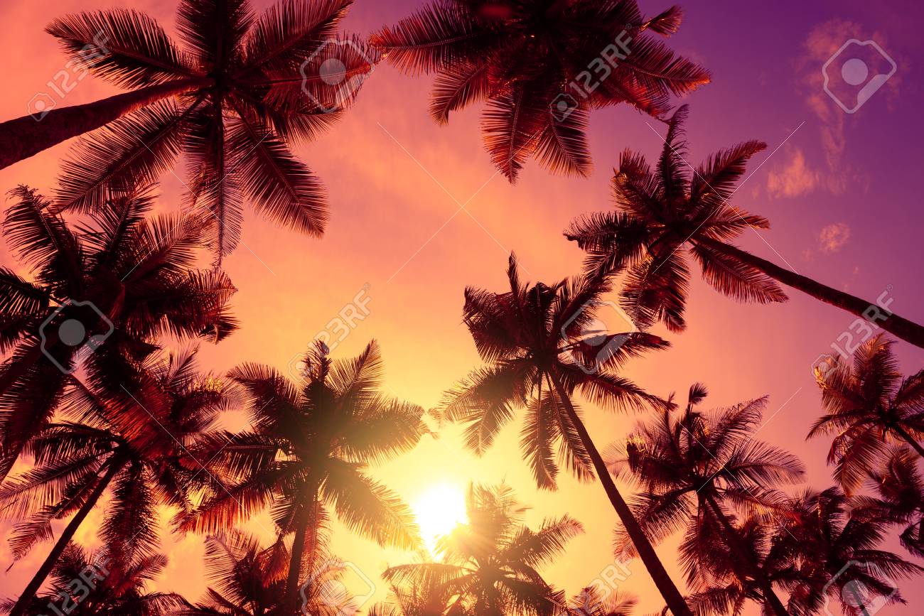 Vivid Tropical Beach Sunset With Big Warm Shining Sun On Vacation Stock Photo Picture And Royalty Free Image Image