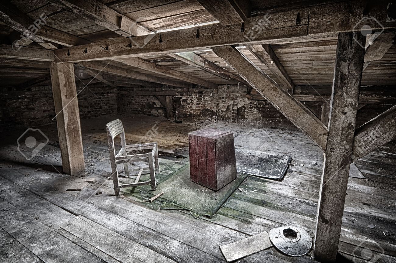 Abandoned in the Attic!