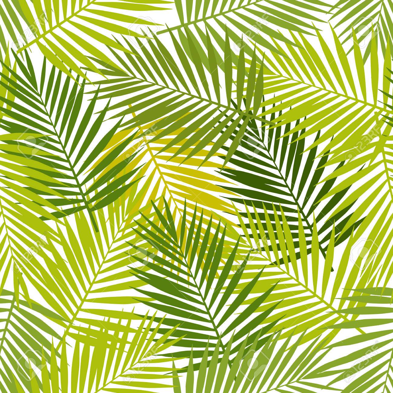 Palm leaf silhouettes seamless pattern. Vector illustration. Tropical leaves. - 51152301 Palm leaf silhouettes seamless pattern. Vector illustration. Tropical leaves. - 51152301